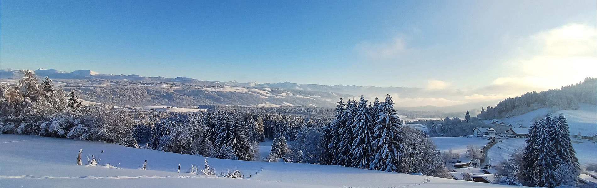 Scheidegg mit Schnee im Winter - Ausblick