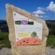 Panorama-Wanderweg Wildbiene Hündle Obersatufen